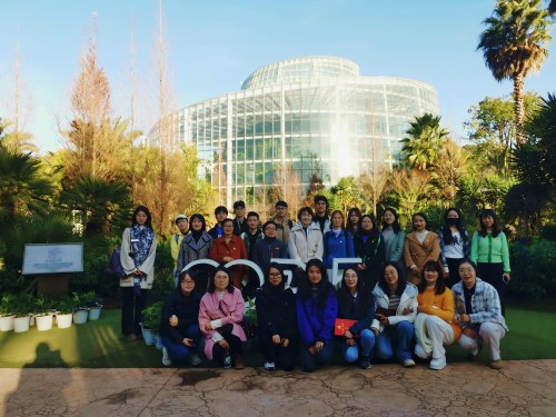 电子游戏app下载安装