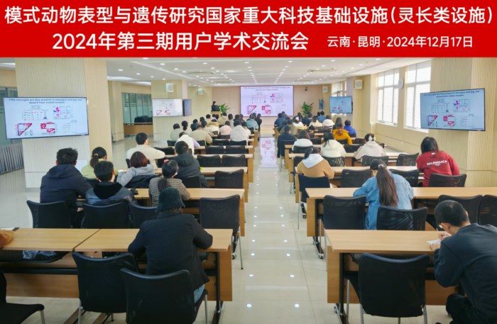 电子游戏app下载安装