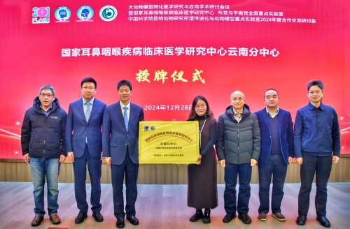 电子游戏app下载安装