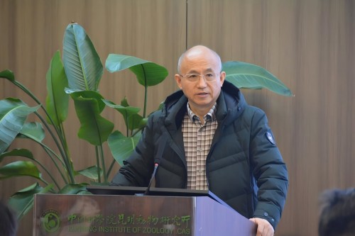 电子游戏app下载安装