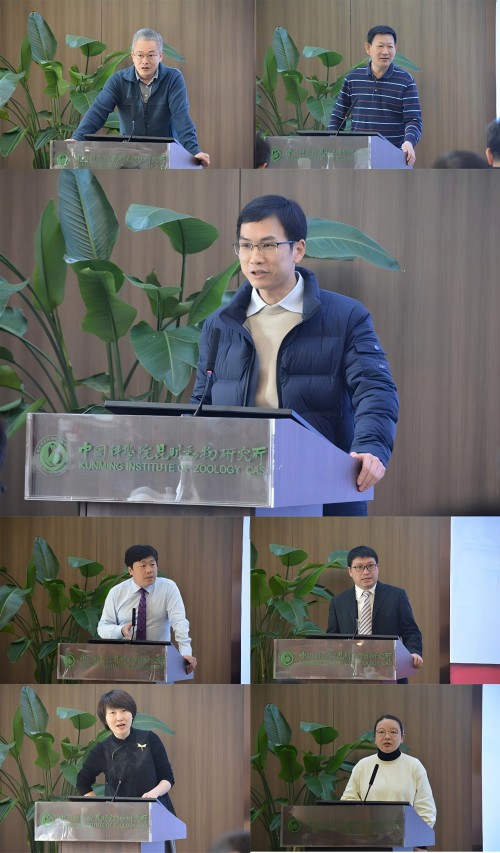 电子游戏app下载安装