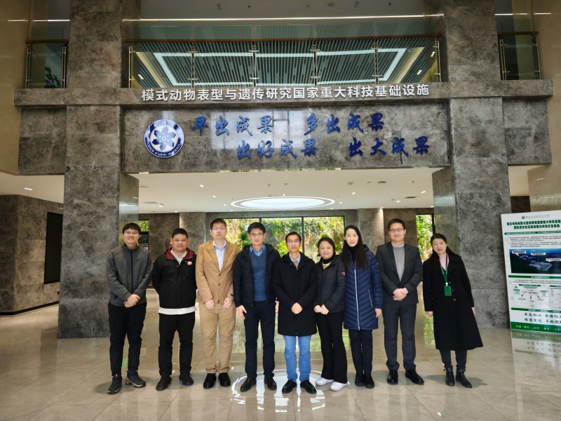 电子游戏app下载安装