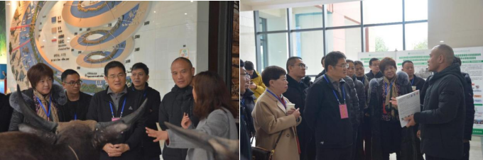 电子游戏app下载安装