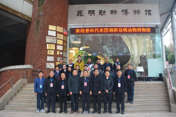 电子游戏app下载安装