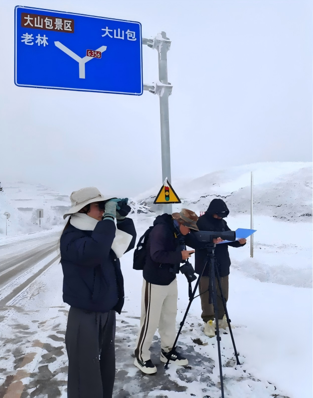 电子游戏app下载安装