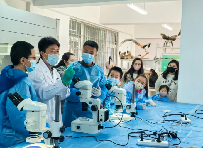 电子游戏app下载安装