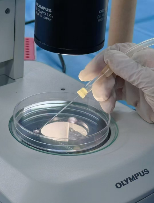 电子游戏app下载安装