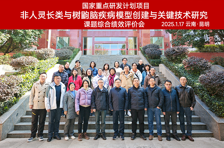 电子游戏app下载安装