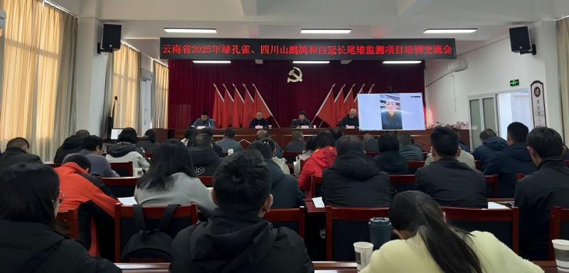 电子游戏app下载安装