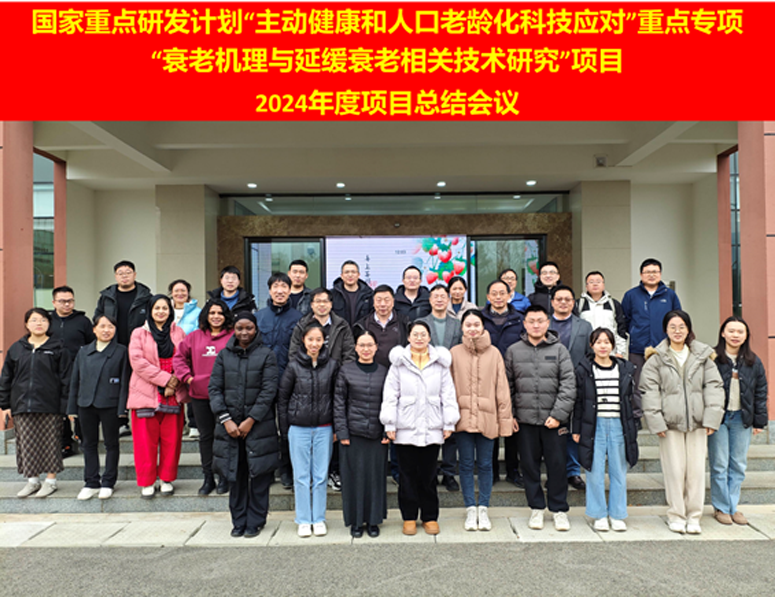 电子游戏app下载安装