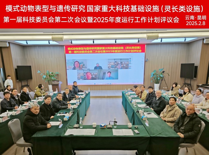 电子游戏app下载安装