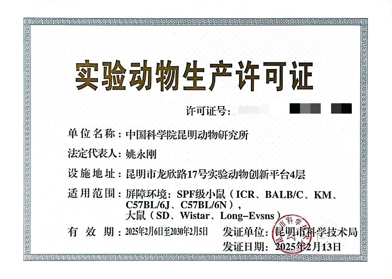 电子游戏app下载安装