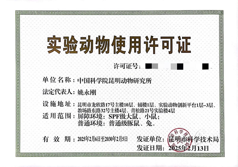 电子游戏app下载安装