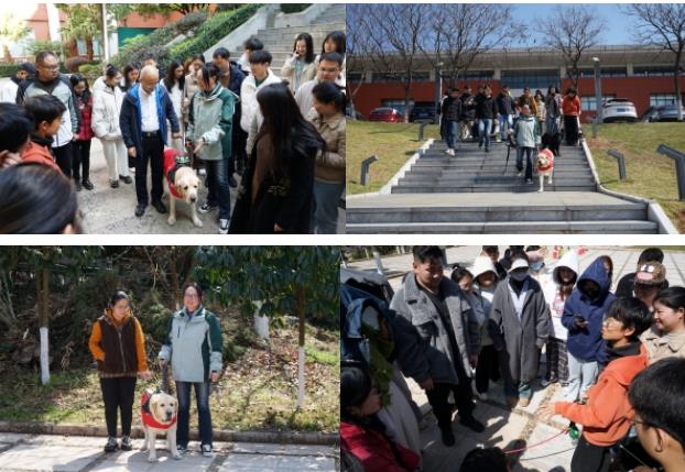 电子游戏app下载安装