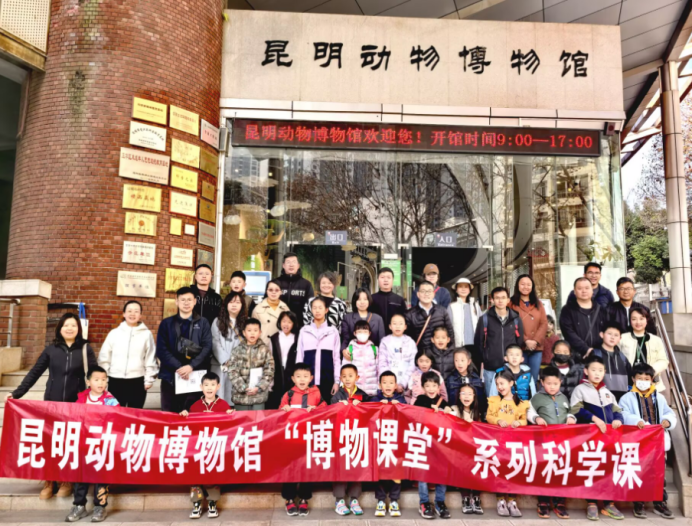 电子游戏app下载安装