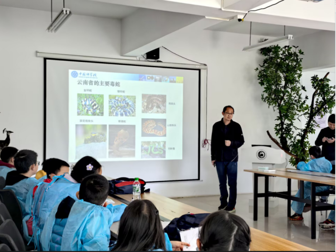 电子游戏app下载安装