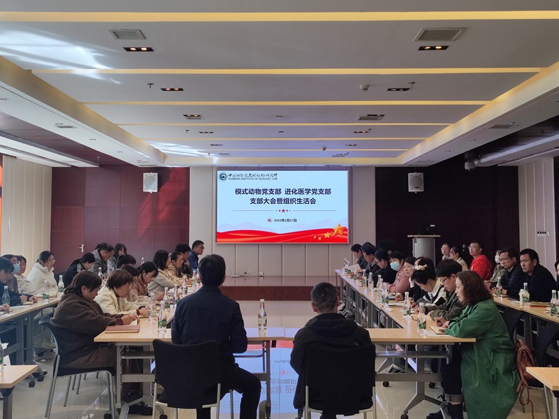 电子游戏app下载安装