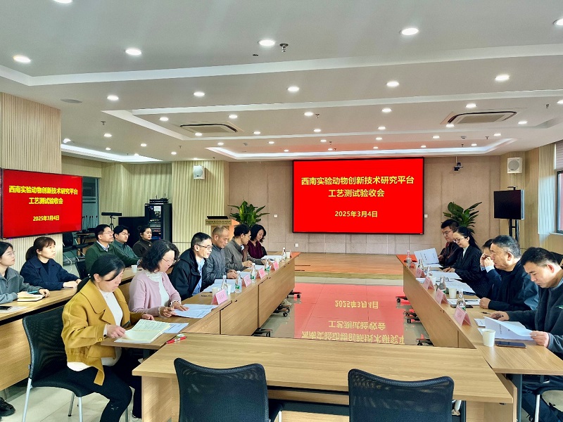 电子游戏app下载安装