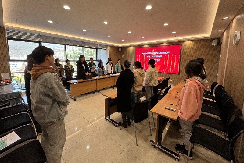 电子游戏app下载安装