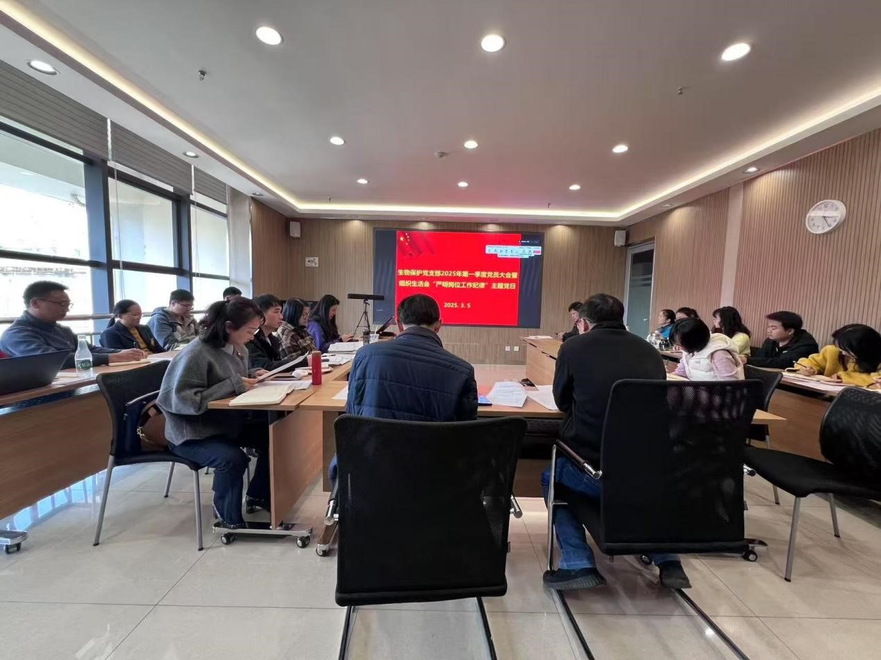 电子游戏app下载安装