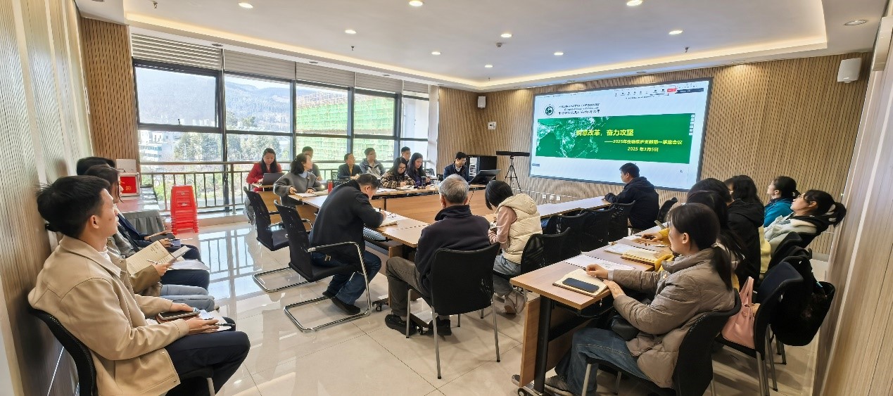 电子游戏app下载安装