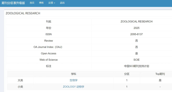 电子游戏app下载安装