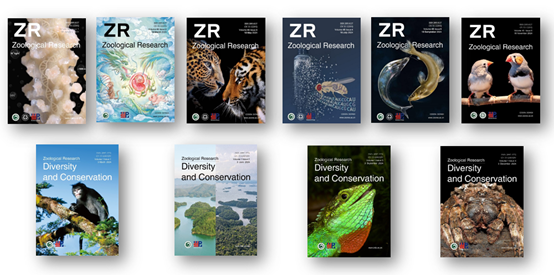 电子游戏app下载安装