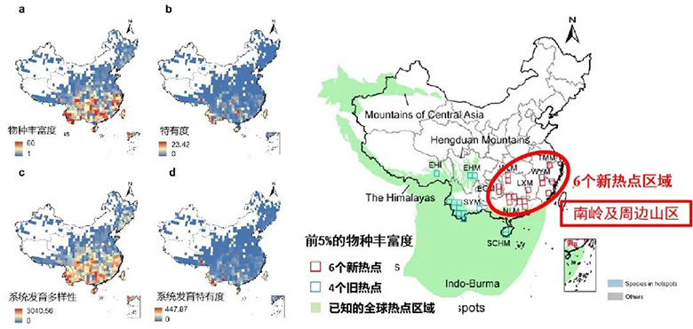 电子游戏app下载安装