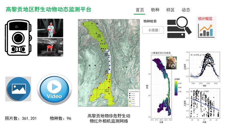 电子游戏app下载安装