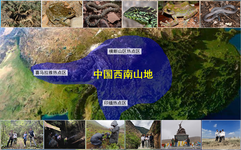 电子游戏app下载安装