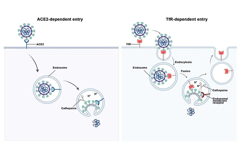 电子游戏app下载安装