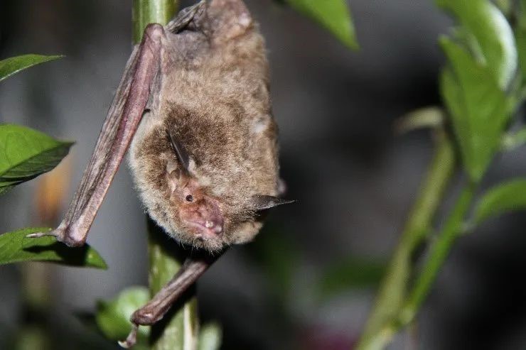 电子游戏app下载安装