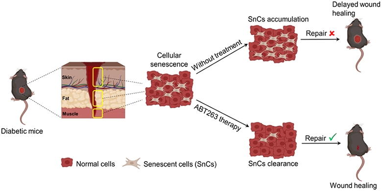 电子游戏app下载安装