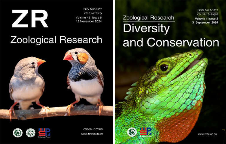 电子游戏app下载安装