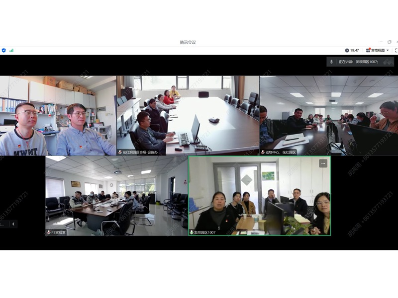 电子游戏app下载安装