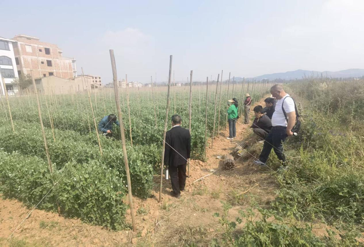 电子游戏app下载安装