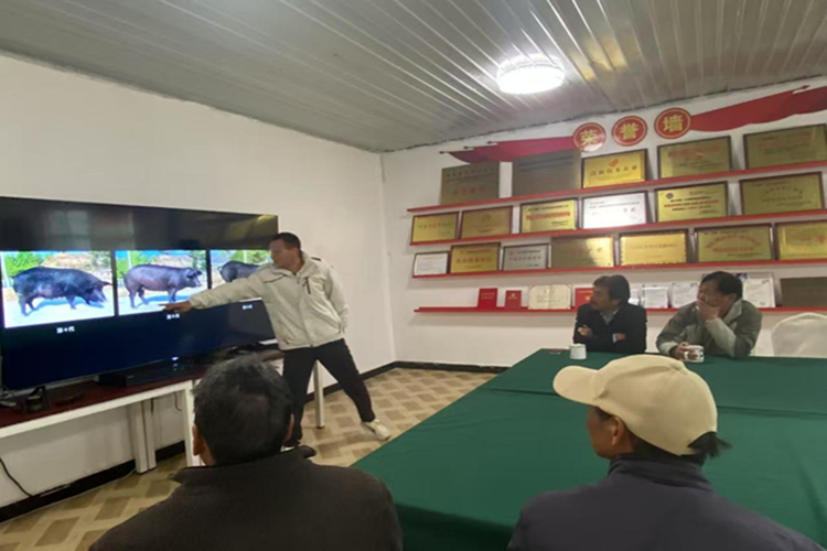 电子游戏app下载安装