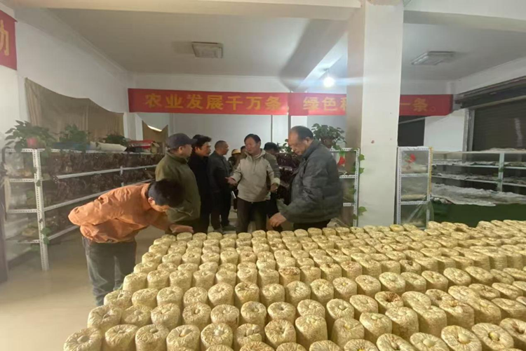 电子游戏app下载安装