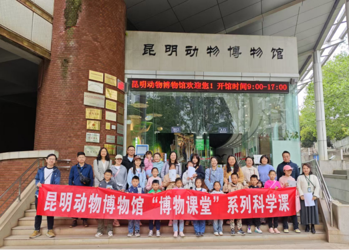 电子游戏app下载安装