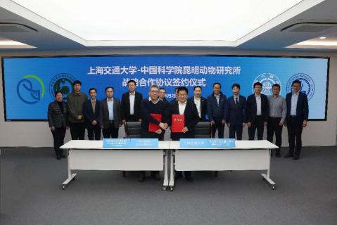 电子游戏app下载安装