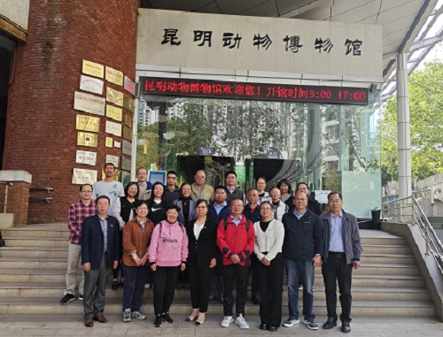 电子游戏app下载安装