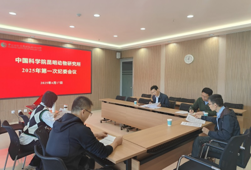 电子游戏app下载安装