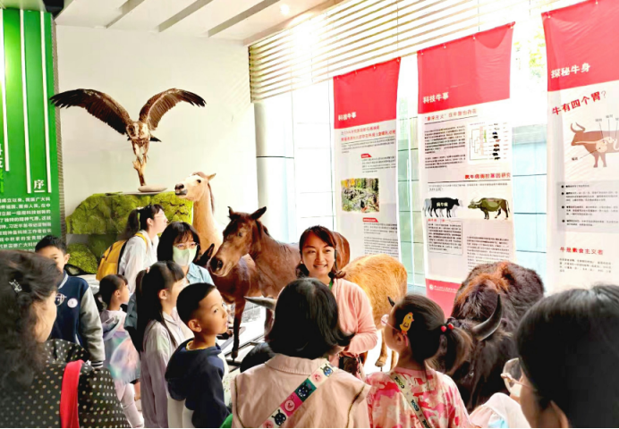 电子游戏app下载安装