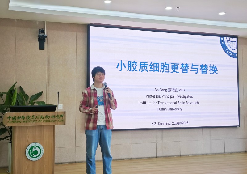 电子游戏app下载安装