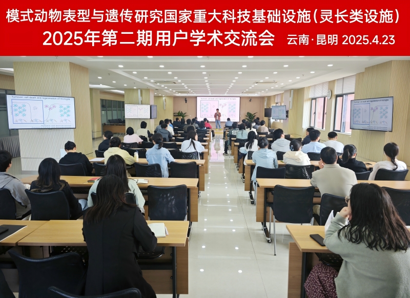 电子游戏app下载安装