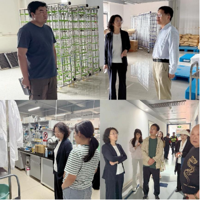 电子游戏app下载安装