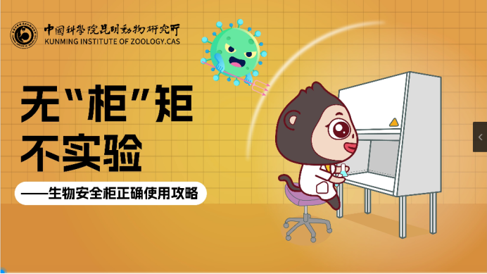 电子游戏app下载安装