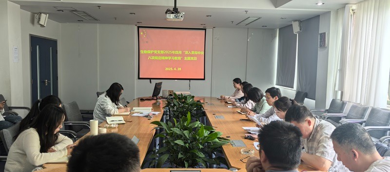 电子游戏app下载安装