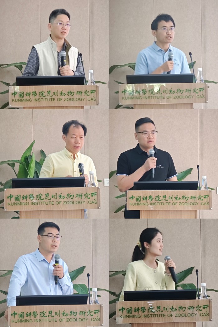 电子游戏app下载安装