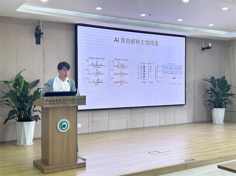 电子游戏app下载安装